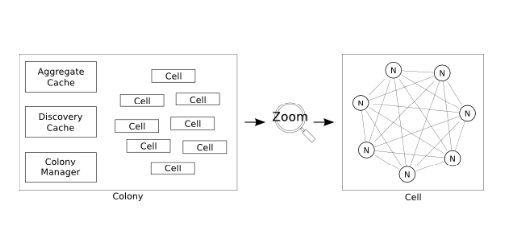 cell-colony