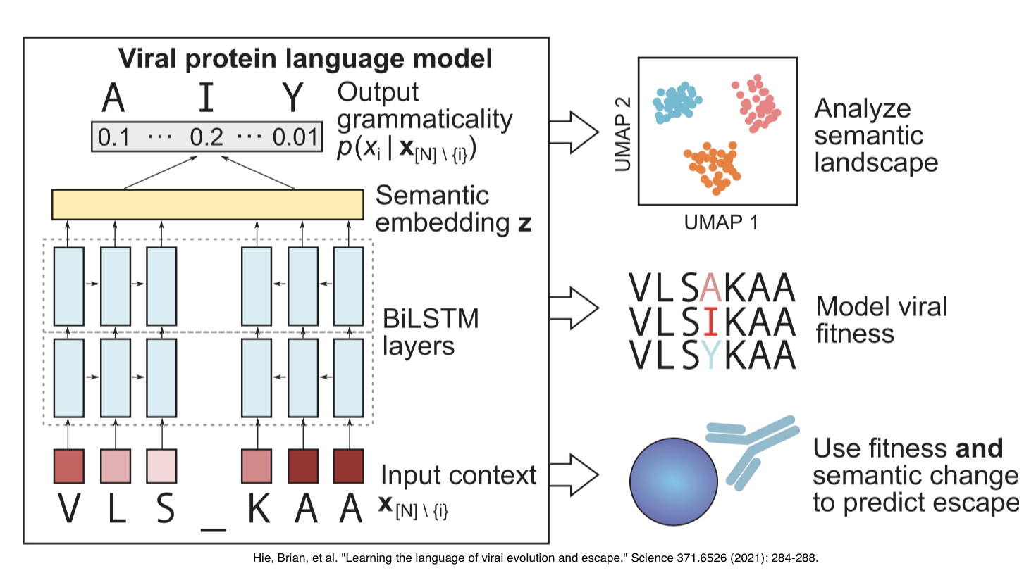 lstm-mutant